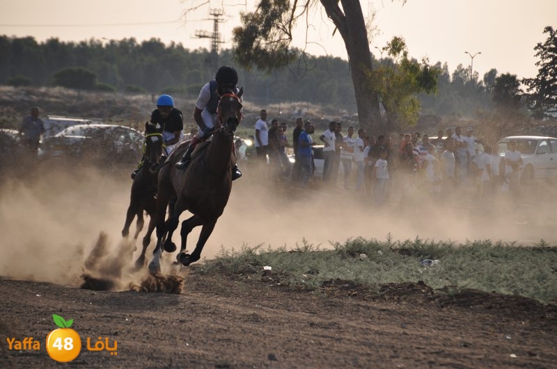 kheil sebaq (17).JPG